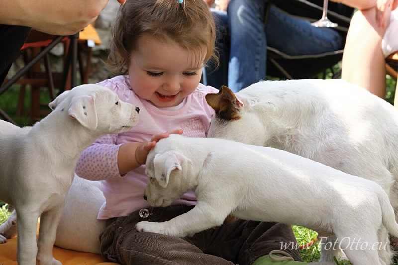 Visites chez nos chiots
