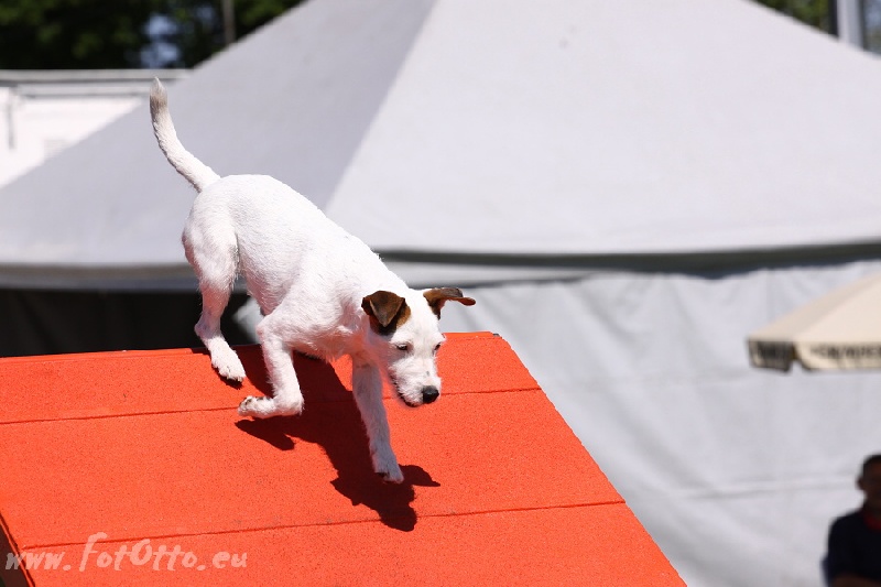Agility